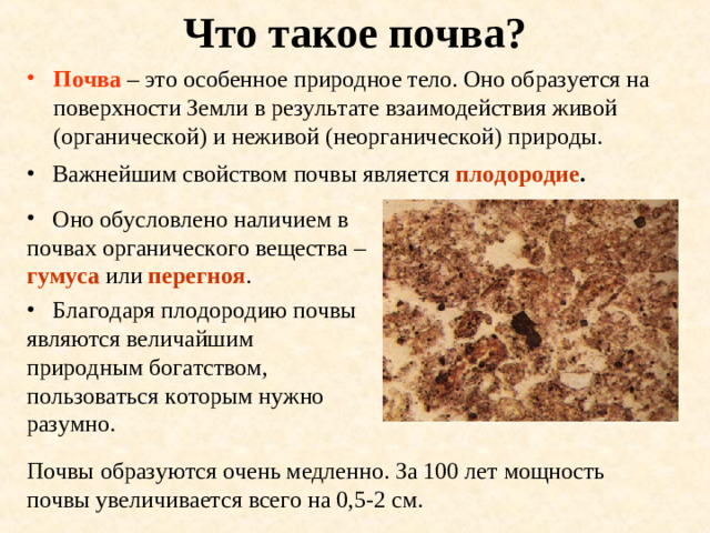 Что такое почва? Почва – это особенное природное тело. Оно образуется на поверхности Земли в результате взаимодействия живой (органической) и неживой (неорганической) природы.  Важнейшим свойством почвы является плодородие .  Оно обусловлено наличием в почвах органического вещества – гумуса или перегноя .  Благодаря плодородию почвы являются величайшим природным богатством, пользоваться которым нужно разумно. Почвы образуются очень медленно. За 100 лет мощность почвы увеличивается всего на 0,5-2 см.