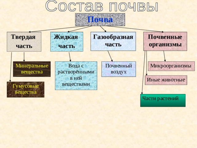 Почва Газообразная часть Твердая часть Почвенные организмы Жидкая часть Микроорганизмы Почвенный воздух Вода с растворёнными в ней веществами Минеральные вещества Иные животные Гумусовые вещества Части растений