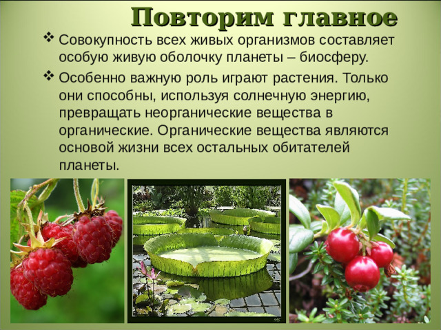 Повторим главное