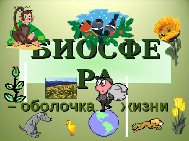 БИОСФЕРА – оболочка жизни