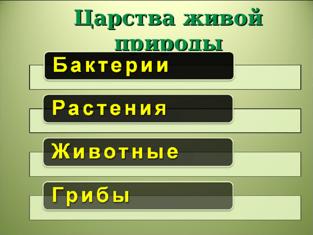 Царства живой природы