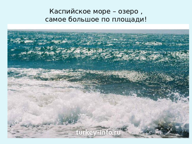 Каспийское море – озеро ,  самое большое по площади!