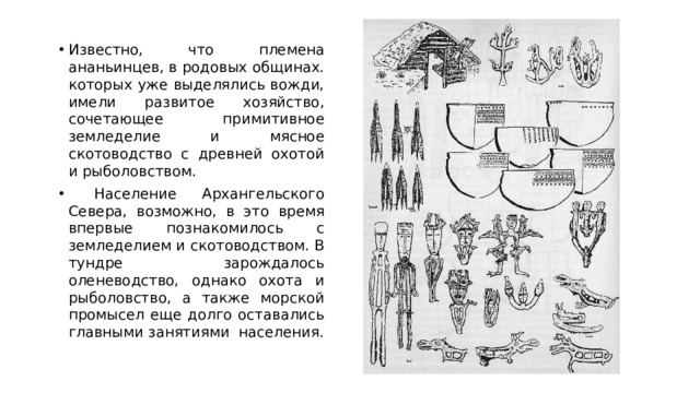 Известно, что племена ананьинцев, в родовых общинах. которых уже выделялись вожди, имели развитое хозяйство, сочетающее примитивное земледелие и мясное скотоводство с древней охотой и рыболовством.  Население Архангельского Севера, возможно, в это время впервые познакомилось с земледелием и скотоводством. В тундре зарождалось оленеводство, однако охота и рыболовство, а также морской промысел еще долго оставались главными занятиями населения.