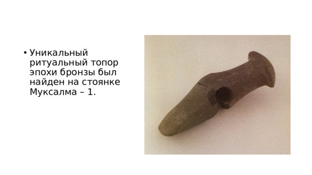 Уникальный ритуальный топор эпохи бронзы был найден на стоянке Муксалма – 1.