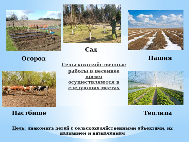 Сад Пашня Огород Сельскохозяйственные работы в весеннее время осуществляются в следующих местах Пастбище Теплица Цель: знакомить детей с сельскохозяйственными объектами, их названием и назначением