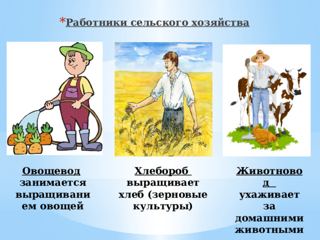 Работники сельского хозяйства Овощевод  Хлебороб Животновод