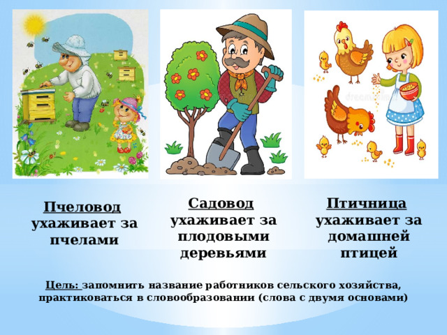 Садовод  Птичница  ухаживает за плодовыми деревьями ухаживает за домашней птицей Пчеловод  ухаживает за пчелами Цель: запомнить название работников сельского хозяйства, практиковаться в словообразовании (слова с двумя основами)