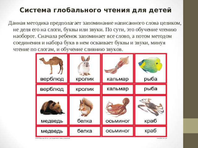 Система глобального чтения для детей   Данная методика предполагает запоминание написанного слова целиком, не деля его на слоги, буквы или звуки. По сути, это обучение чтению наоборот. Сначала ребенок запоминает все слово, а потом методом соединения и набора букв в нем осваивает буквы и звуки, минуя чтение по слогам, и обучение слиянию звуков.