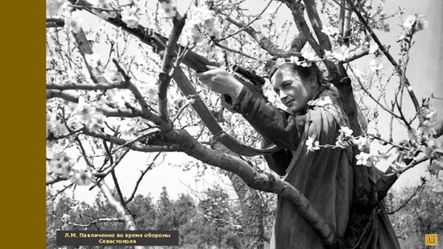 Л.М. Павличенко во время обороны Севастополя