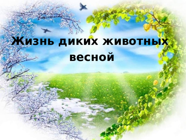 Жизнь диких животных весной