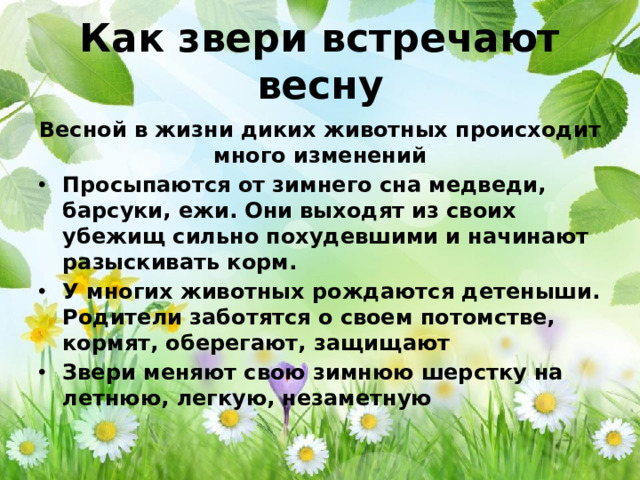 Как звери встречают весну Весной в жизни диких животных происходит много изменений
