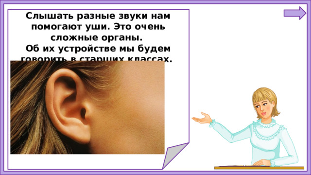 Слышать разные звуки нам помогают уши. Это очень сложные органы. Об их устройстве мы будем говорить в старших классах.