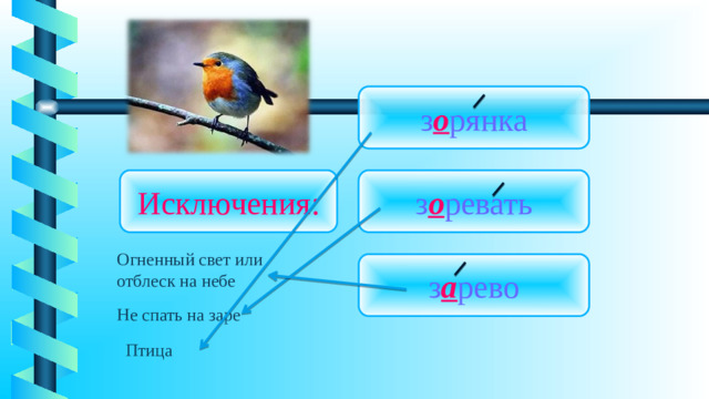 з о рянка Исключения: з о ревать Огненный свет или отблеск на небе з а рево Не спать на заре Птица