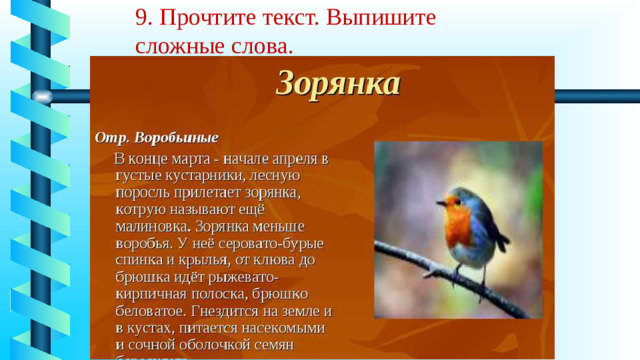 9. Прочтите текст. Выпишите сложные слова.