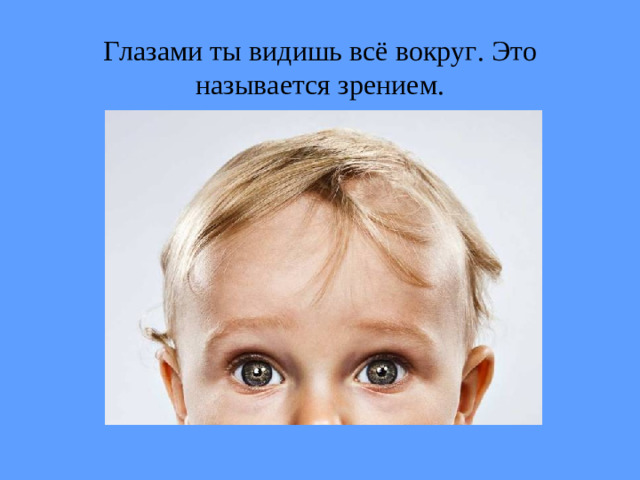 Глазами ты видишь всё вокруг. Это называется  зрением.