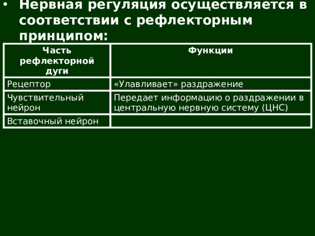 Нервная регуляция осуществляется в соответствии с рефлекторным принципом: