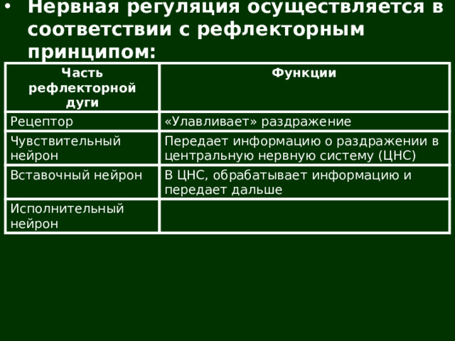 Нервная регуляция осуществляется в соответствии с рефлекторным принципом: