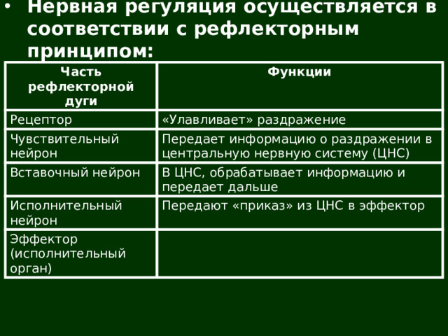 Нервная регуляция осуществляется в соответствии с рефлекторным принципом: