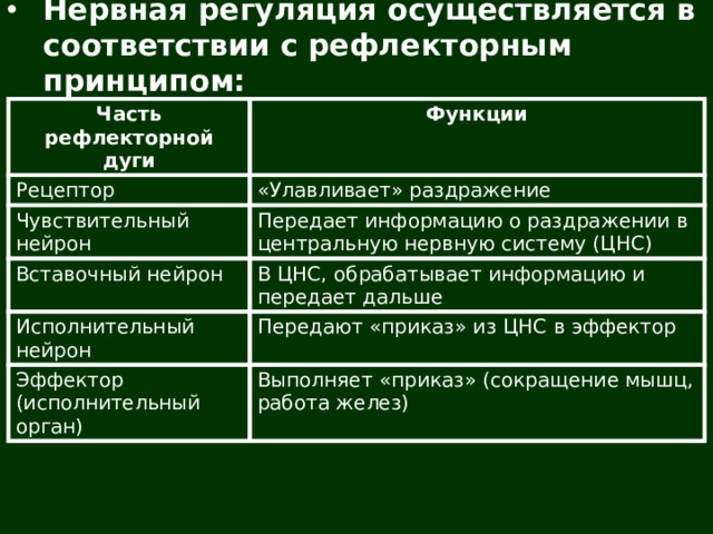 Нервная регуляция осуществляется в соответствии с рефлекторным принципом:
