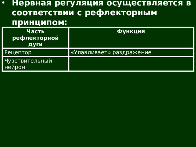Нервная регуляция осуществляется в соответствии с рефлекторным принципом: