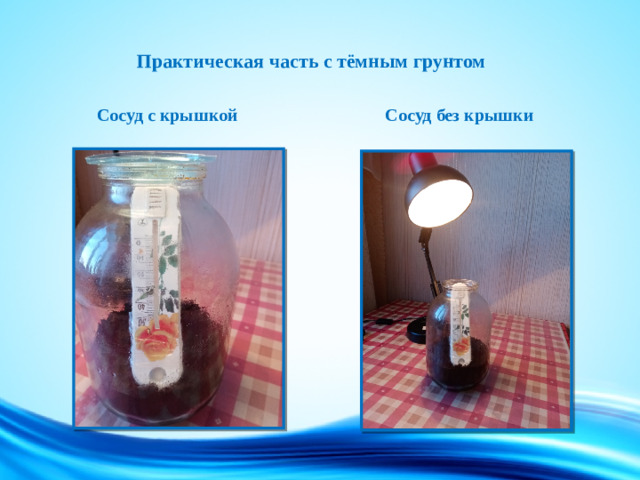 Практическая часть с тёмным грунтом  Сосуд с крышкой  Сосуд без крышки