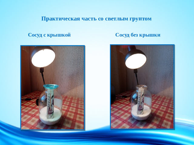 Практическая часть со светлым грунтом  Сосуд с крышкой  Сосуд без крышки