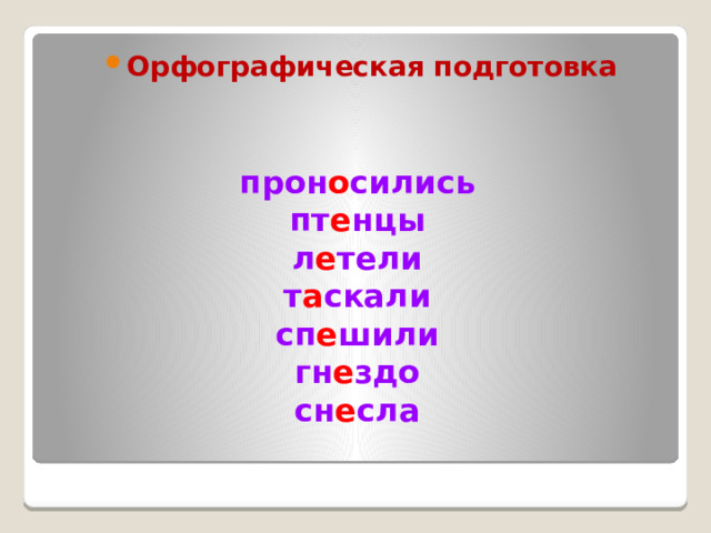 Орфографическая подготовка