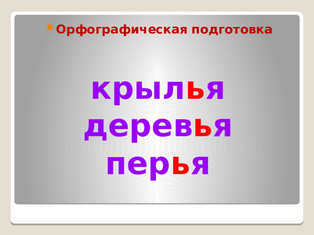 Орфографическая подготовка