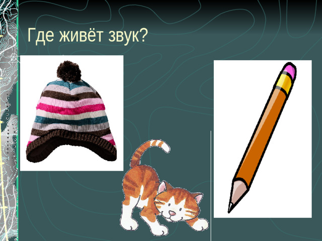 Где живёт звук? Определение позиции звука Ш в словах.