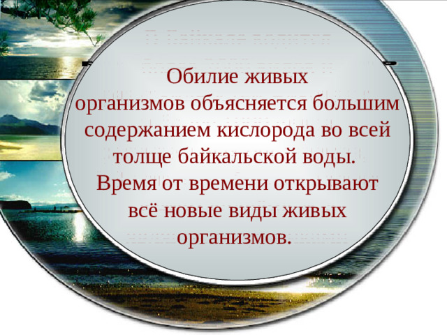 В Байкале водится более 2600 видов и разновидностей животных и более 1000 видов растительных организмов, 2/3 которых обитают только  в этом водоёме, т. е. являются эндемиками Обилие живых организмов объясняется большим содержанием кислорода во всей толще байкальской воды. Время от времени открывают всё новые виды живых организмов.