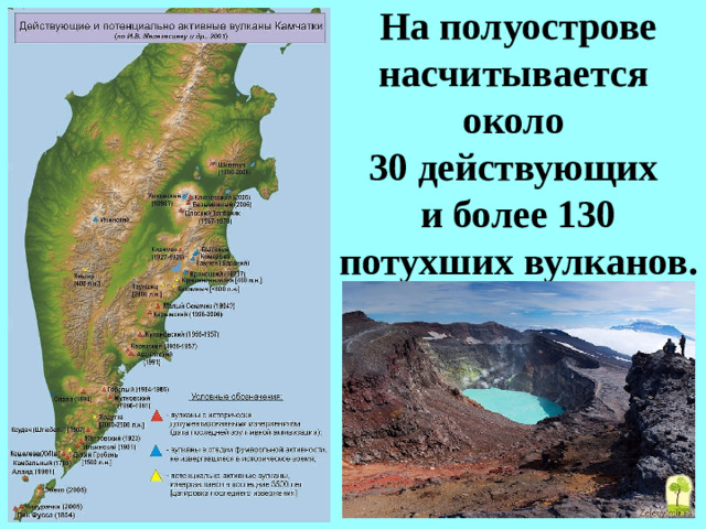 На полуострове насчитывается  около  30 действующих  и более 130 потухших вулканов.