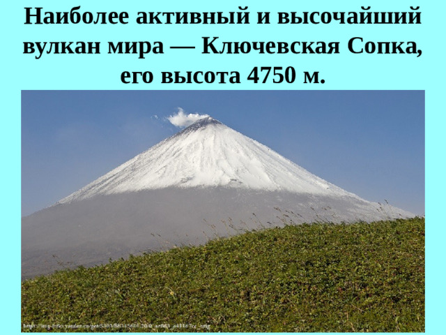Наиболее активный и высочайший вулкан мира — Ключевская Сопка , его высота 4750 м.