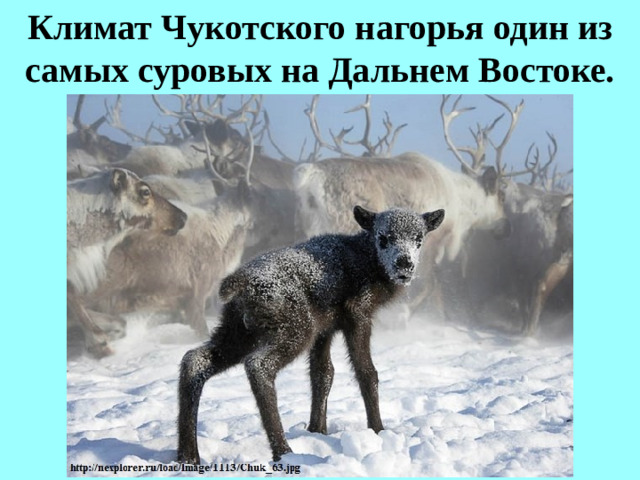 Климат Чукотского нагорья один из самых суровых на Дальнем Востоке.