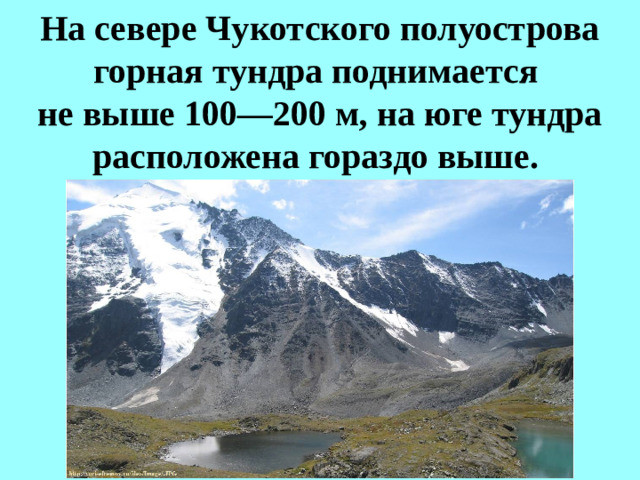 На севере Чукотского полуострова горная тундра поднимается  не выше 100—200 м, на юге тундра расположена гораздо выше.