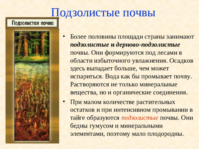 Подзолистые почвы