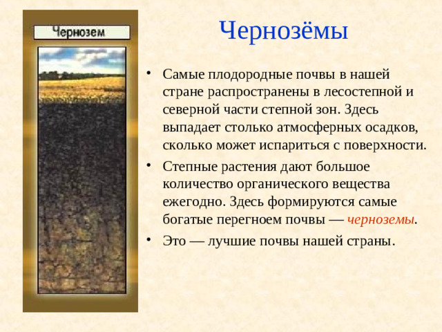 Чернозёмы