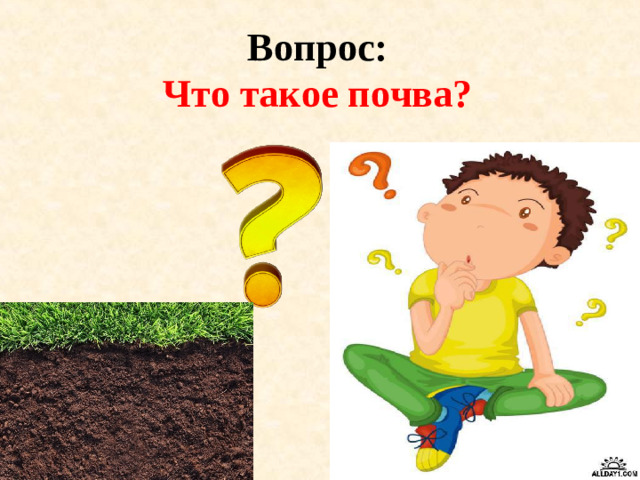 Вопрос:  Что такое почва?