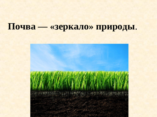 Почва — «зеркало» природы .
