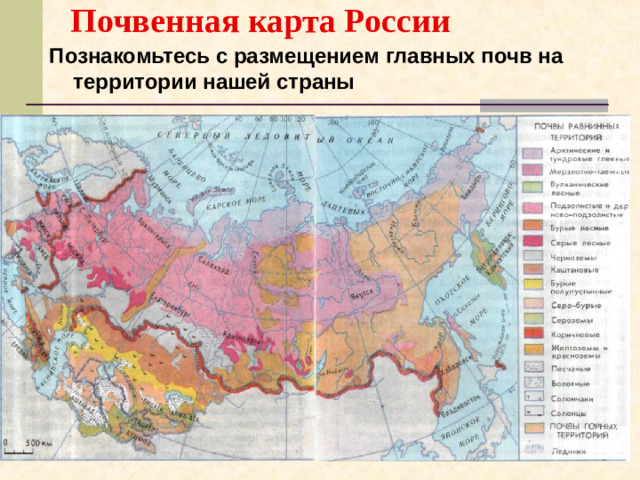 Почвенная карта России   Познакомьтесь с размещением главных почв на территории нашей страны