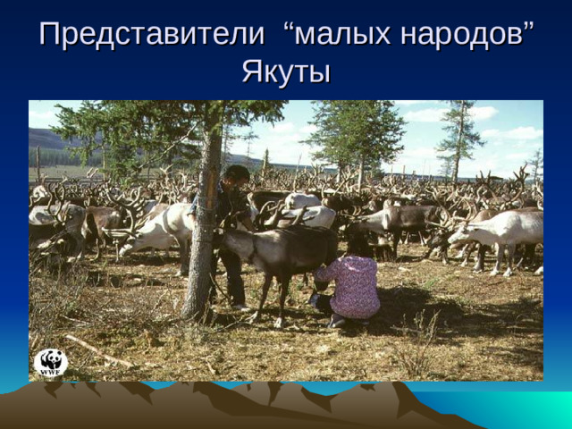 Представители “ малых народов ”  Якуты