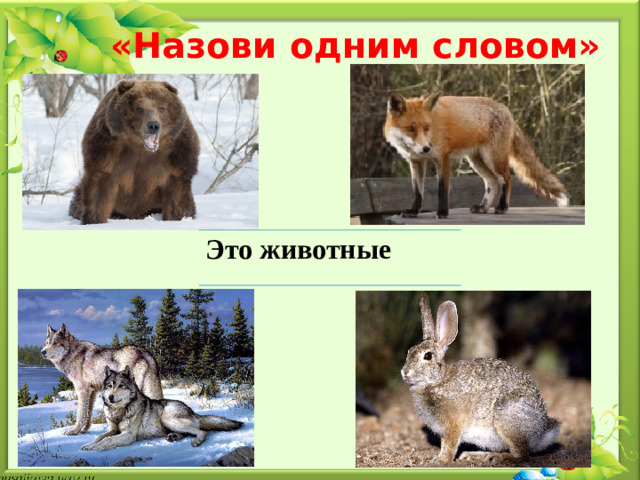 «Назови одним словом» Это животные
