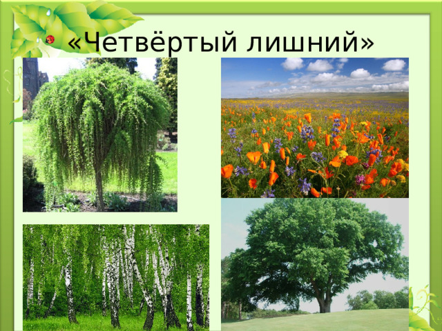 «Четвёртый лишний»