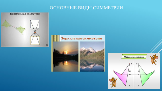 Основные виды симметрии