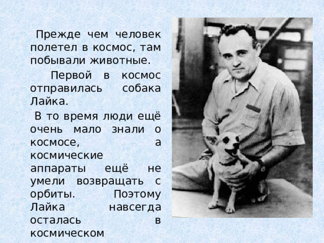 Прежде чем человек полетел в космос, там побывали животные.  Первой в космос отправилась собака Лайка.  В то время люди ещё очень мало знали о космосе, а космические аппараты ещё не умели возвращать с орбиты. Поэтому Лайка навсегда осталась в космическом пространстве.