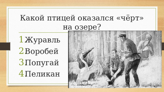 Какой птицей оказался «чёрт» на озере?