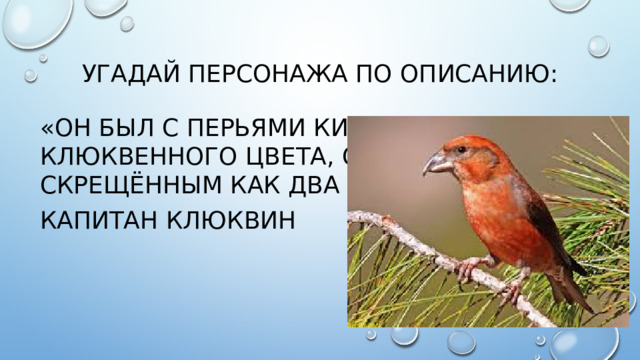 Угадай персонажа по описанию: «он был с перьями кирпичного и клюквенного цвета, с клювом, скрещённым как два кривых ножа» Капитан клюквин