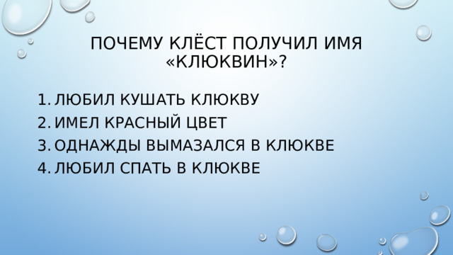 Почему клёст получил имя «клюквин»?