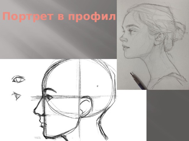 Портрет в профиль