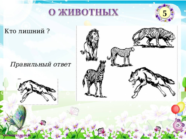 5 Кто лишний ? Правильный ответ 2
