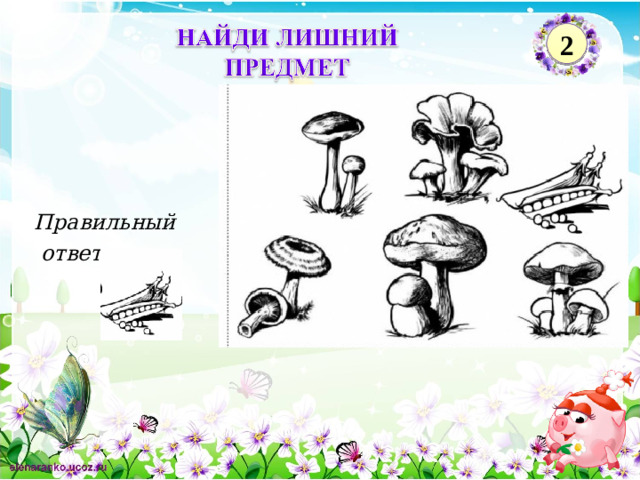 2 Правильный  ответ 2